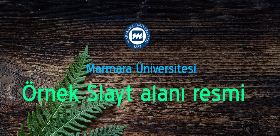 Bu kısma engelli ziyaretçilerimiz için açıklama giriniz.